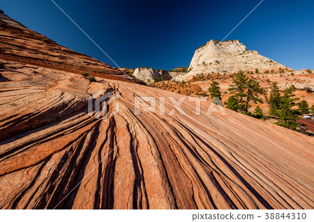 Landscape in Zion National Park 38844310