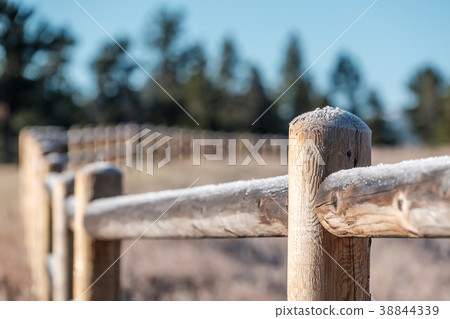 Hoarfrost on the fence Hoarfrost on the fence 38844339