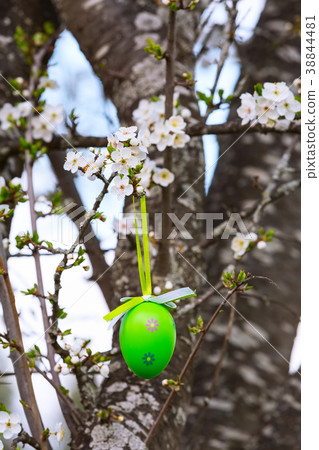 colorful painted Easter eggs on the tree colorful painted Easter eggs on the tree 38844481