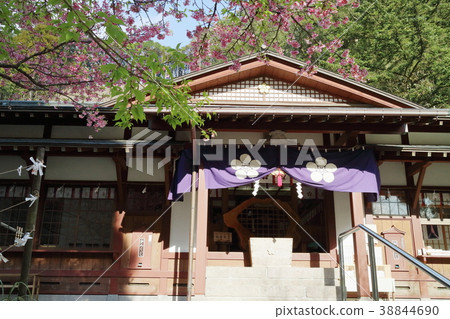 Fujikawa Tenjin 38844690