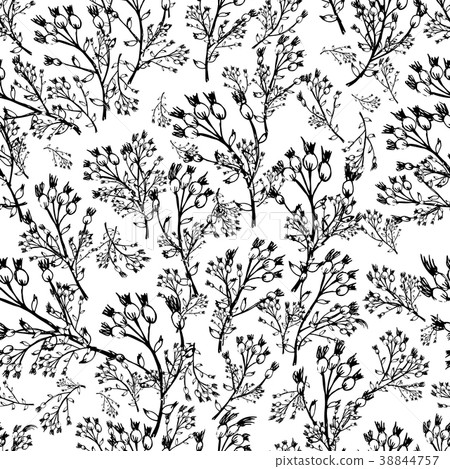 Floral seamless pattern, sketch for your design Floral seamless pattern, sketch for your design 38844757