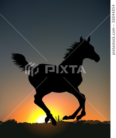 Running Horse Silhouette Background Running Horse Silhouette Background 38844854