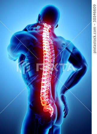 3D Illustration of sacral and cervical painful. 3D Illustration of sacral and cervical painful. 38846609