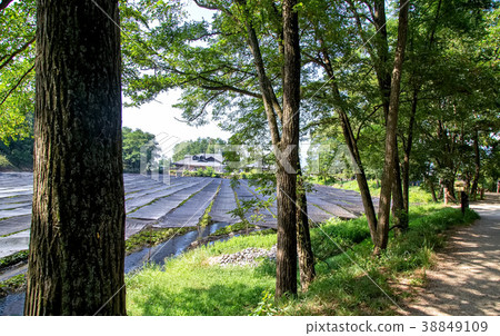 Hotaka, Azumino City, Nagano Prefecture 38849109
