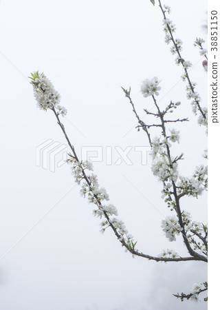 Li Hua results Li Hua results 38851150