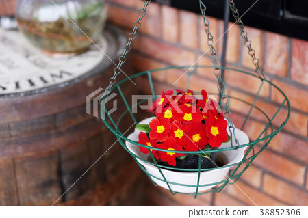 Street corner flower 38852306