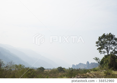 Six turtles along the Eighteenth Mount Lohan Six turtles along the Eighteenth Mount Lohan 38852960