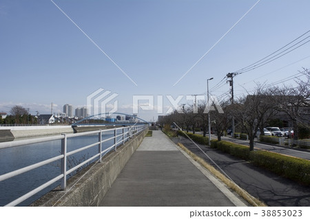 Urayasu City March Urayasu City March 38853023