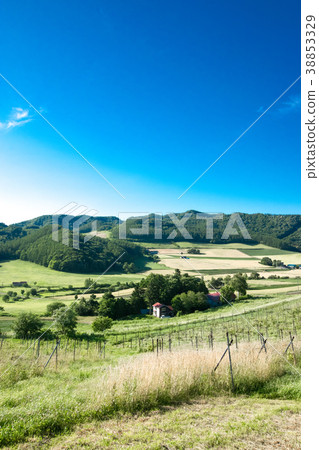 Hop場山地景觀富良野 Hop場山地景觀富良野 38853329