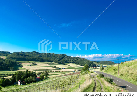 Hop場山地景觀富良野 38853330