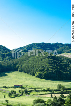 山景富良野 38853901