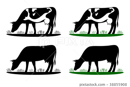 Cow grazing on meadow, cow silhouette in field. Cow grazing on meadow, cow silhouette in field. 38855908