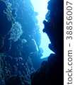 海洋洞穴 38856007