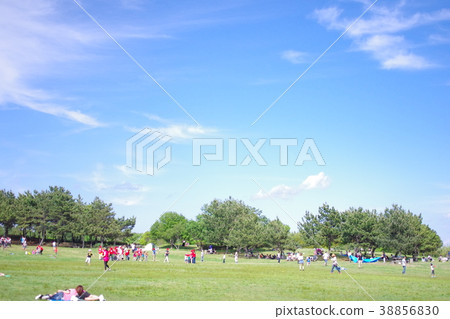 在公園裡 在公園裡 38856830
