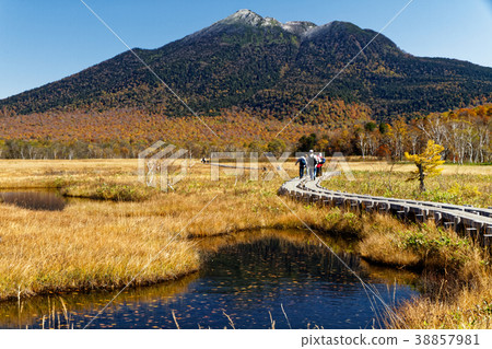 Pond of Ozegahara of autumn leaves of grass and Mt. Kasumigatake of fresh snow Pond of Ozegahara of autumn leaves of grass and Mt. Kasumigatake of fresh snow 38857981