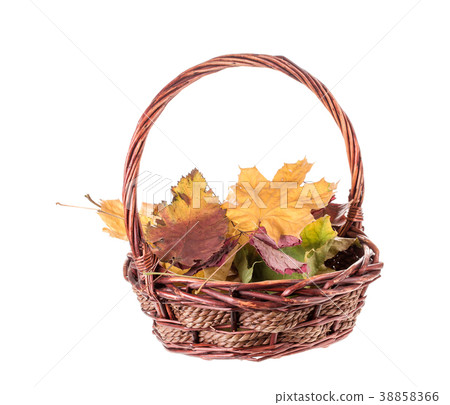 Composition of autumn leaves. Composition of autumn leaves. 38858366