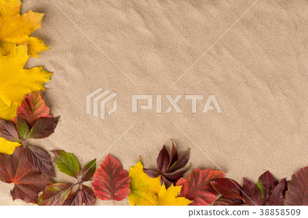 Sand background with autumn leaves. 38858509