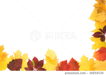 Frame of autumn leaves. 38858530