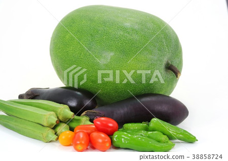 Winter moth, eggplant, eggplant, eggplant, cherry tomato Winter moth, eggplant, eggplant, eggplant, cherry tomato 38858724