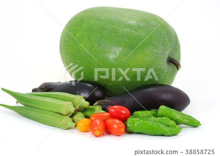 Winter moth, eggplant, eggplant, eggplant, cherry tomato Winter moth, eggplant, eggplant, eggplant, cherry tomato 38858725