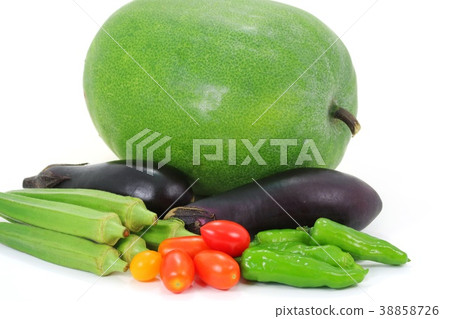 Winter moth, eggplant, eggplant, eggplant, cherry tomato Winter moth, eggplant, eggplant, eggplant, cherry tomato 38858726