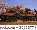 School spring 38858773