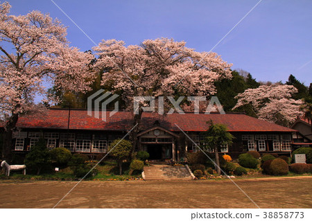 School spring 38858773