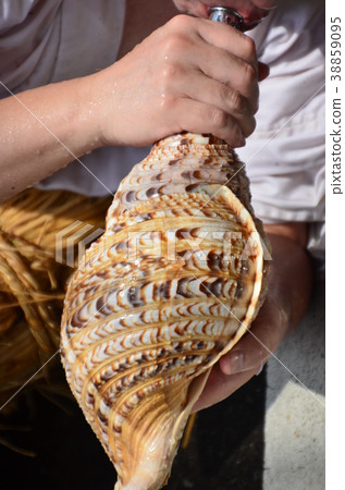 A stop dance of Tokyo intangible folk cultural property A stop dance of Tokyo intangible folk cultural property 38859095