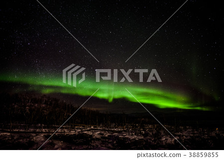 Aurora Aurora 38859855