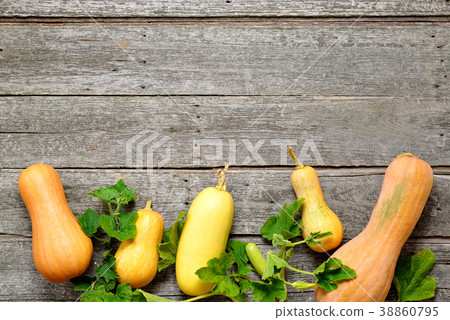 Pampkin and zucchini with green leaves on vintage Pampkin and zucchini with green leaves on vintage 38860795