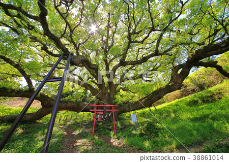 Shishijima的Daisuke 38861014