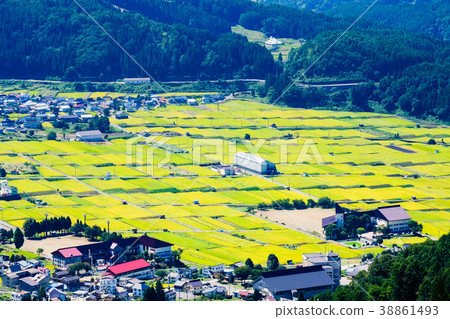 農村風景在秋天 農村風景在秋天 38861493