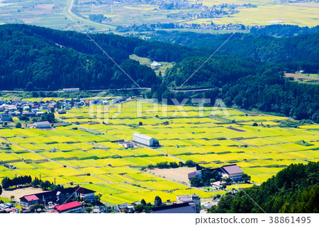 農村風景在秋天 38861495