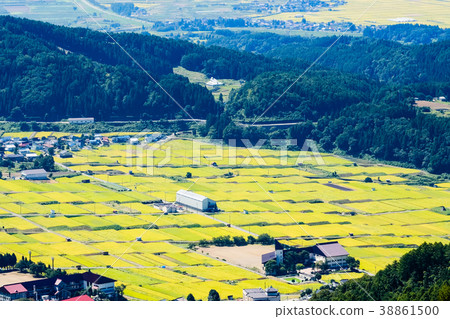 農村風景在秋天 38861500