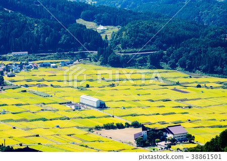 農村風景在秋天 38861501