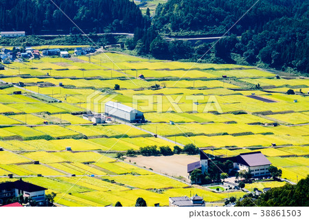 農村風景在秋天 38861503