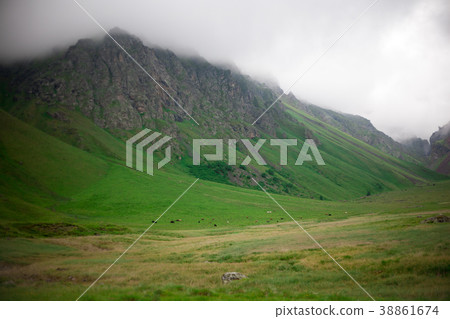 Mountain range landscape 38861674