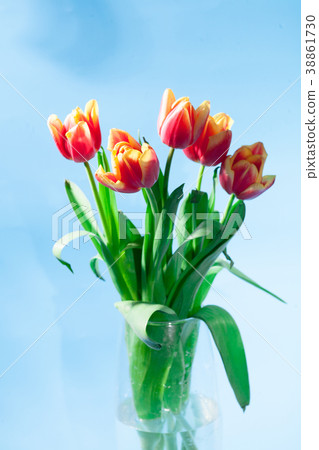 Bouquet of red with yellow spring tulips  38861730