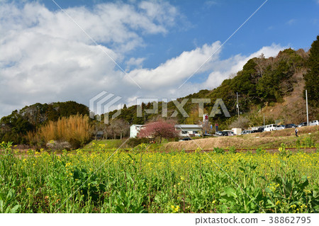 Boso · Kominato Railroad and Rapeseed field Boso · Kominato Railroad and Rapeseed field 38862795