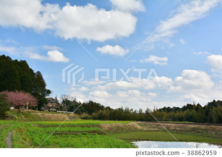 Boso·Kominato鐵路和油菜籽領域 Boso·Kominato鐵路和油菜籽領域 38862959