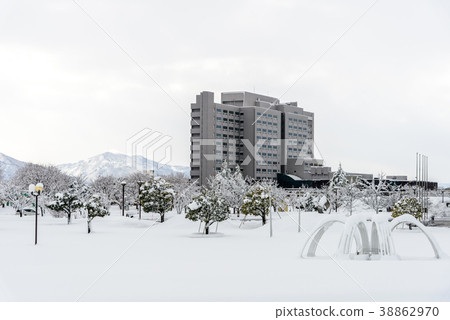 Snow country 38862970