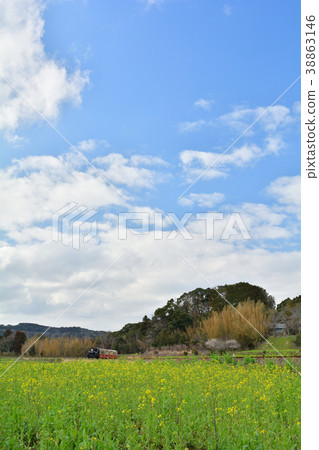Boso · Kominato Railroad and Rapeseed field Boso · Kominato Railroad and Rapeseed field 38863146