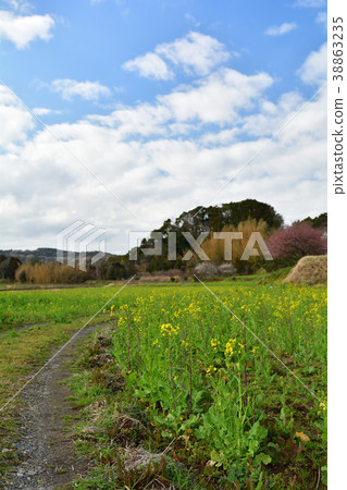 Boso·Kominato鐵路和油菜籽領域 Boso·Kominato鐵路和油菜籽領域 38863235