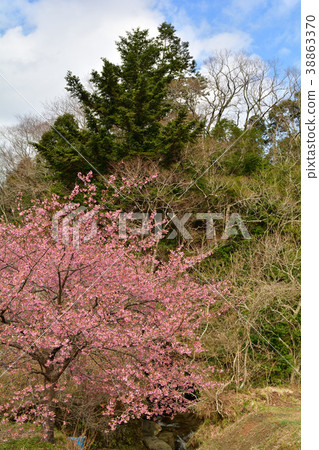 Boso-Yoro山谷 38863370