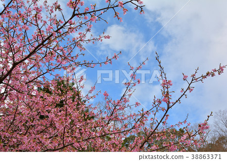 Boso-Yoro Valley Boso-Yoro Valley 38863371