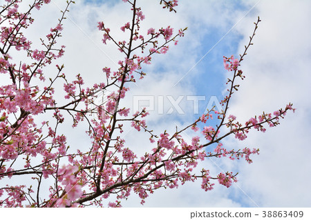 Boso-Yoro Valley 38863409