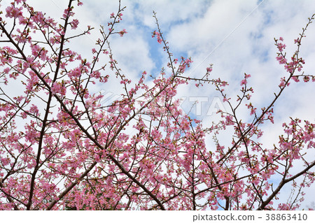 Boso-Yoro Valley 38863410