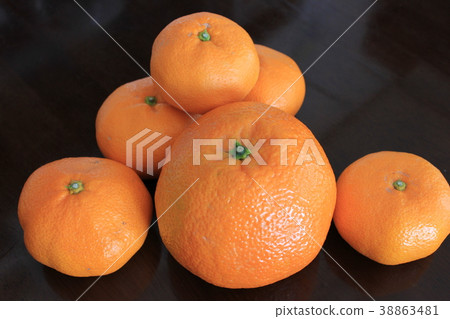 ○甘藷和甜夏季甘藷○ 38863481