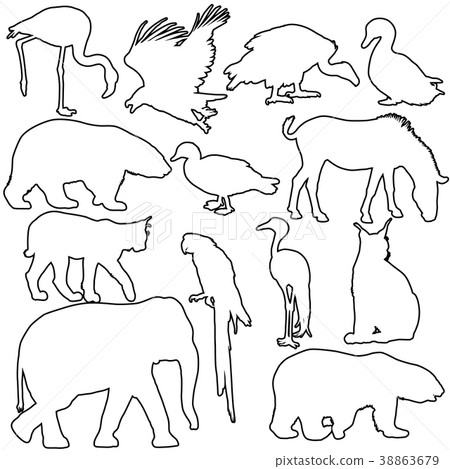 Silhouette elephant tiger bear giraffe flamingo Silhouette elephant tiger bear giraffe flamingo 38863679