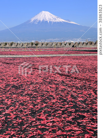 曬乾的櫻桃蝦和富士山-9056 曬乾的櫻桃蝦和富士山-9056 38863823